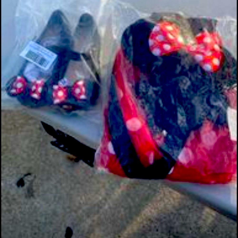 Disney club it’s a Minnie mouse dress with shoes